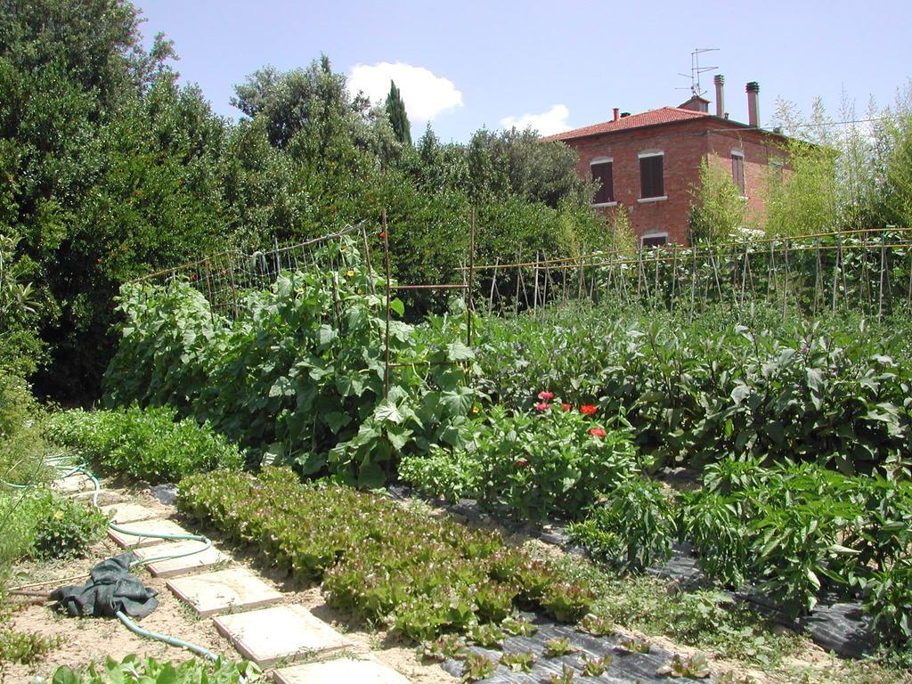 Villa La Lodola Фояно дела Киана Екстериор снимка